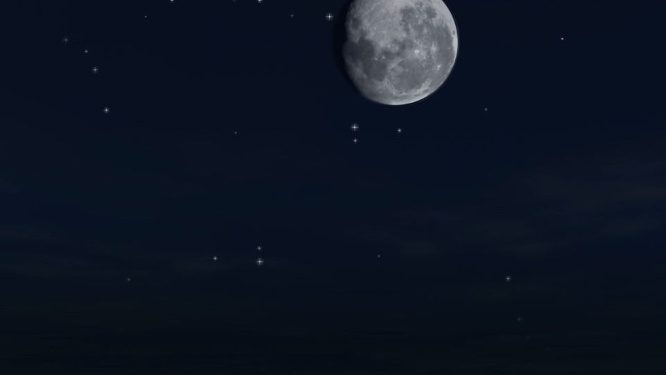 Future of Insurance video poster